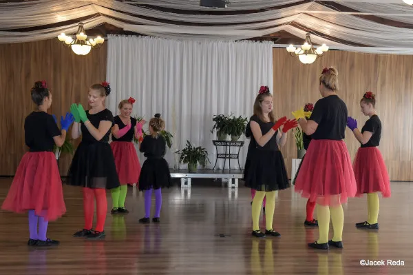 Zapytanie o audyt zewnętrzny projektu